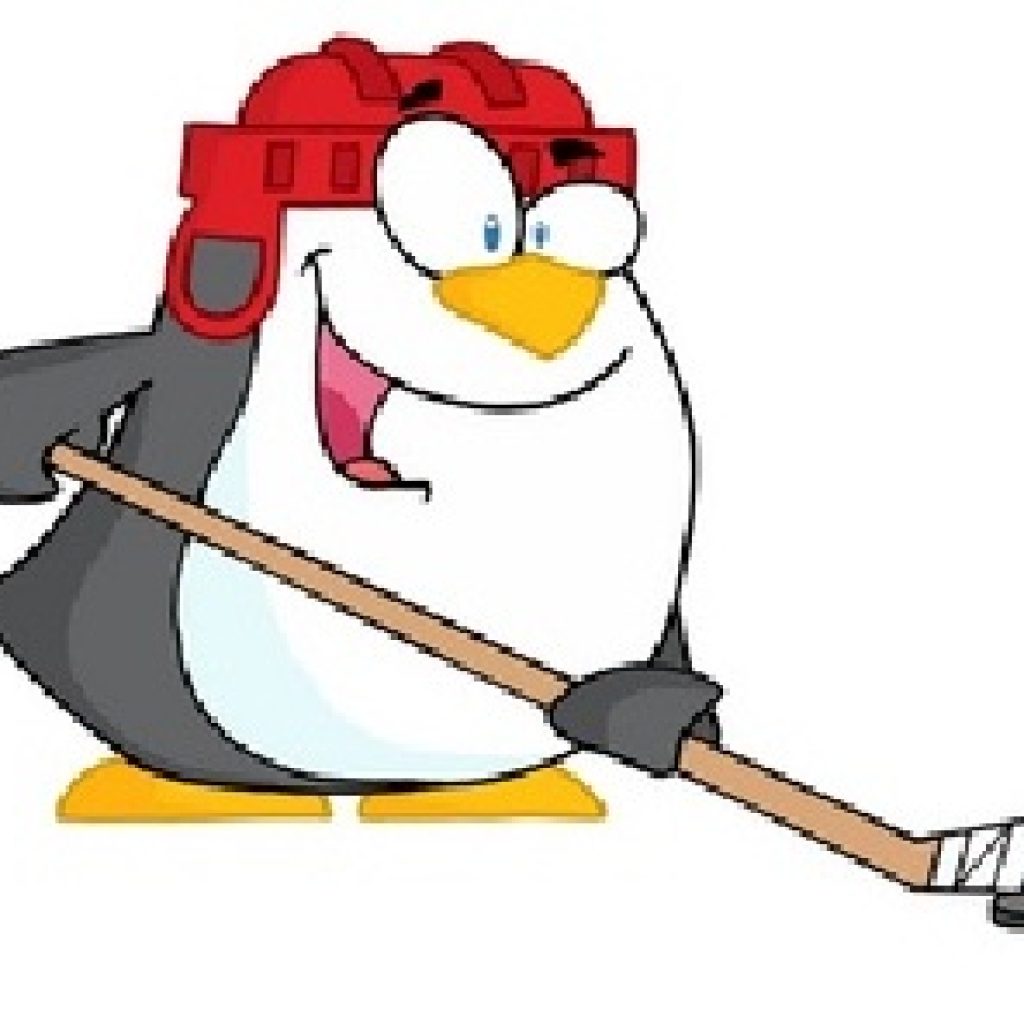 pond_hockey Extreme Ice Center